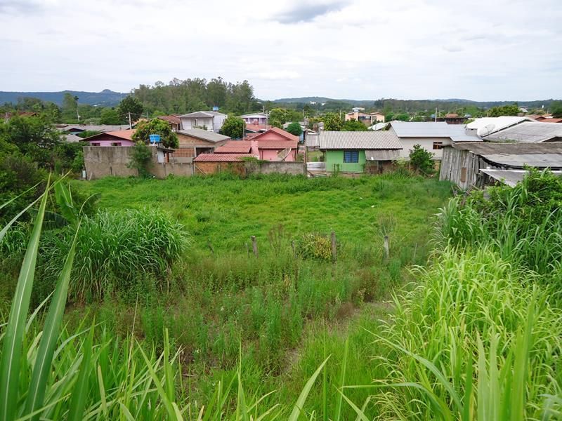 Terreno à venda no bairro Cohab, Parobe