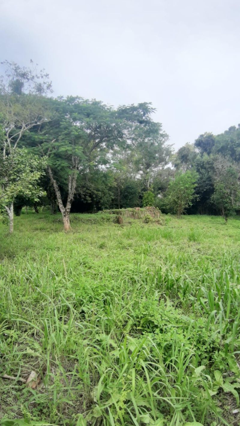 Terreno à venda no bairro Figueiras, Igrejinha