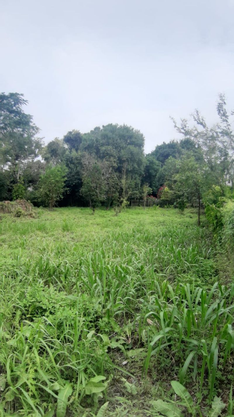 Terreno à venda no bairro Figueiras, Igrejinha