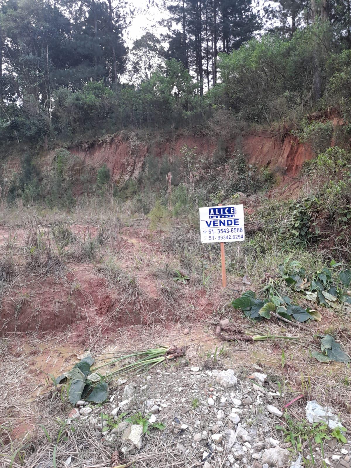 Casa com 2 quartos e 1 banheiro à venda no bairro Nova Parobe, Parobe