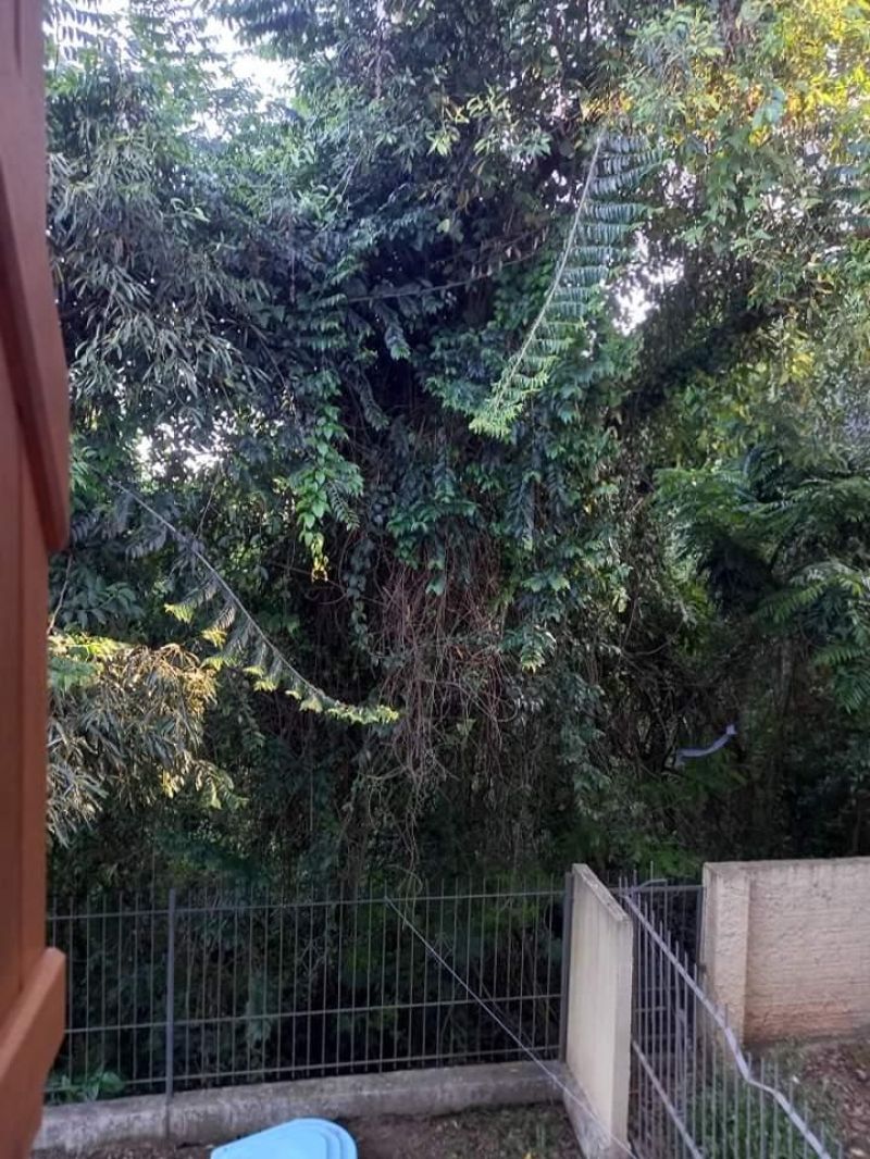 Casa com 2 quartos, 2 banheiros e 246m² à venda no bairro Nossa Sra de Fatima, Taquara