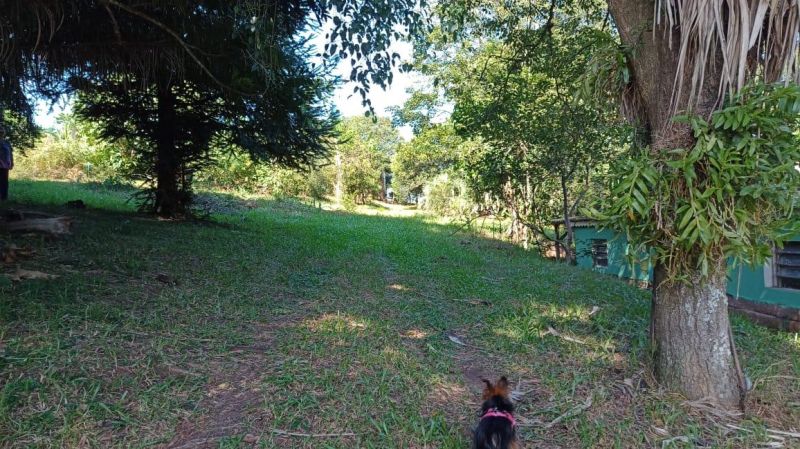 Terreno à venda no bairro Nossa Senhora de Fatima, Taquara