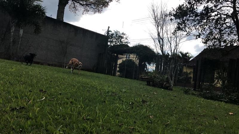 Terreno à venda no bairro Nossa Senhora de Fatima, Taquara