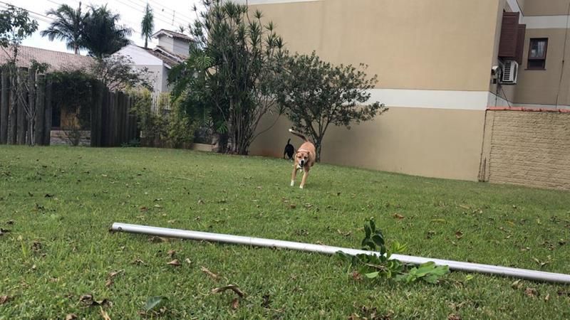 Terreno à venda no bairro Nossa Senhora de Fatima, Taquara