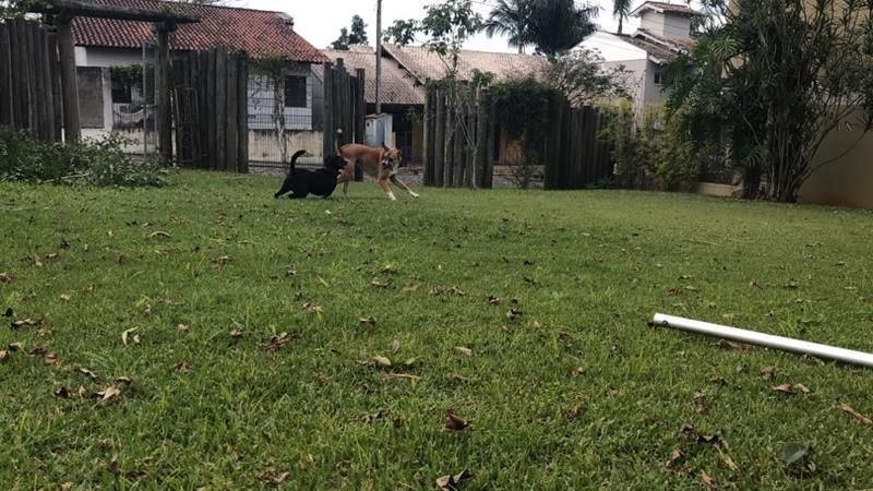Terreno à venda no bairro Nossa Senhora de Fatima, Taquara