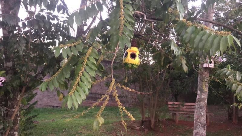Terreno à venda no bairro Nossa Senhora de Fatima, Taquara