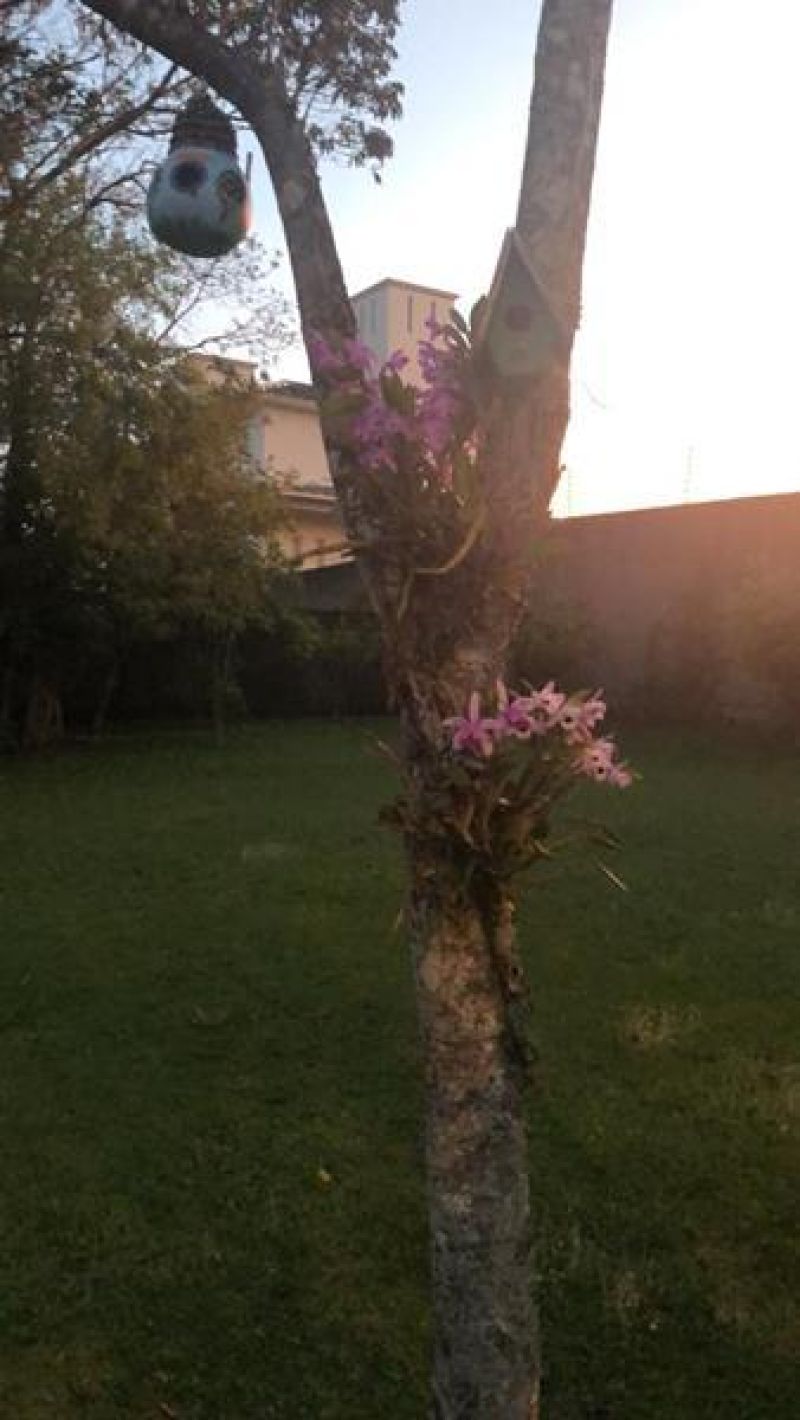 Terreno à venda no bairro Nossa Senhora de Fatima, Taquara