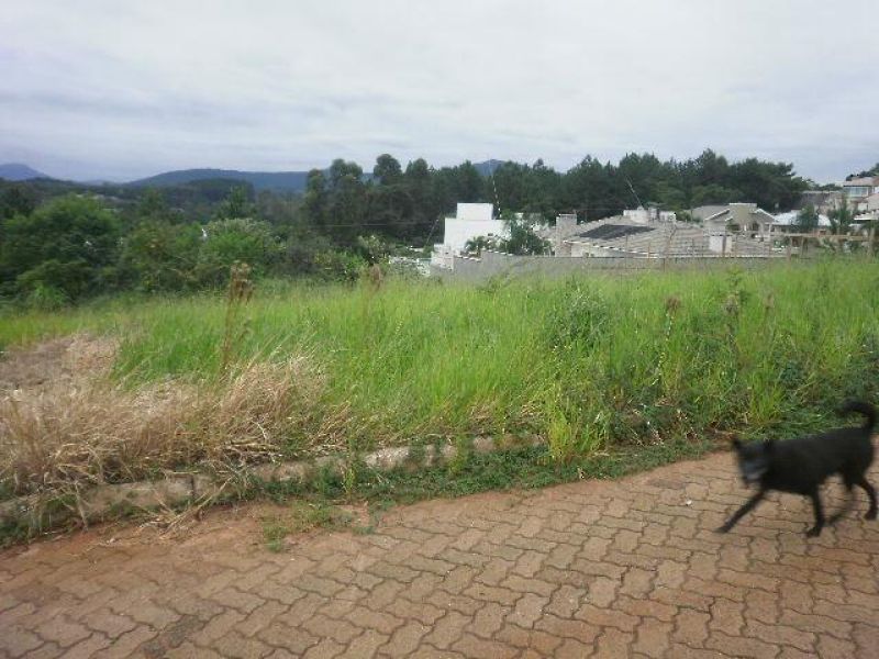 Terreno à venda no bairro Nossa Senhora de Fatima, Taquara