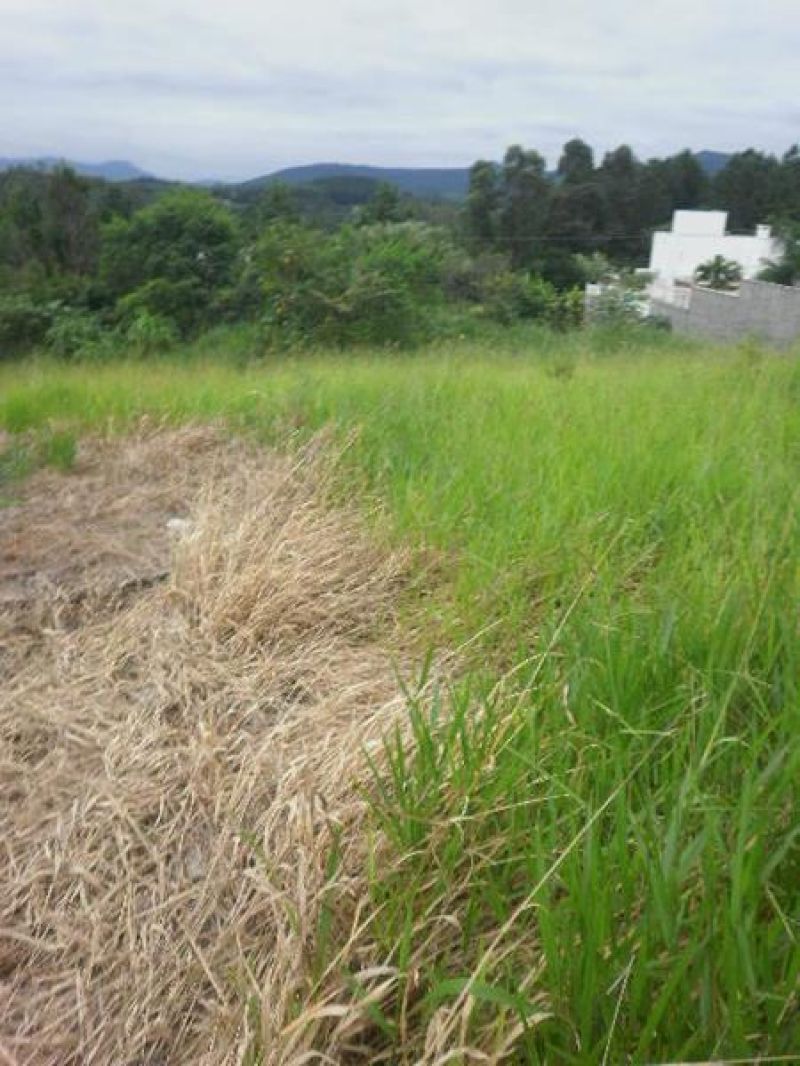Terreno à venda no bairro Nossa Senhora de Fatima, Taquara