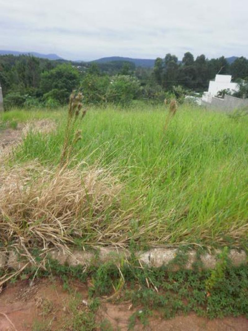 Terreno à venda no bairro Nossa Senhora de Fatima, Taquara