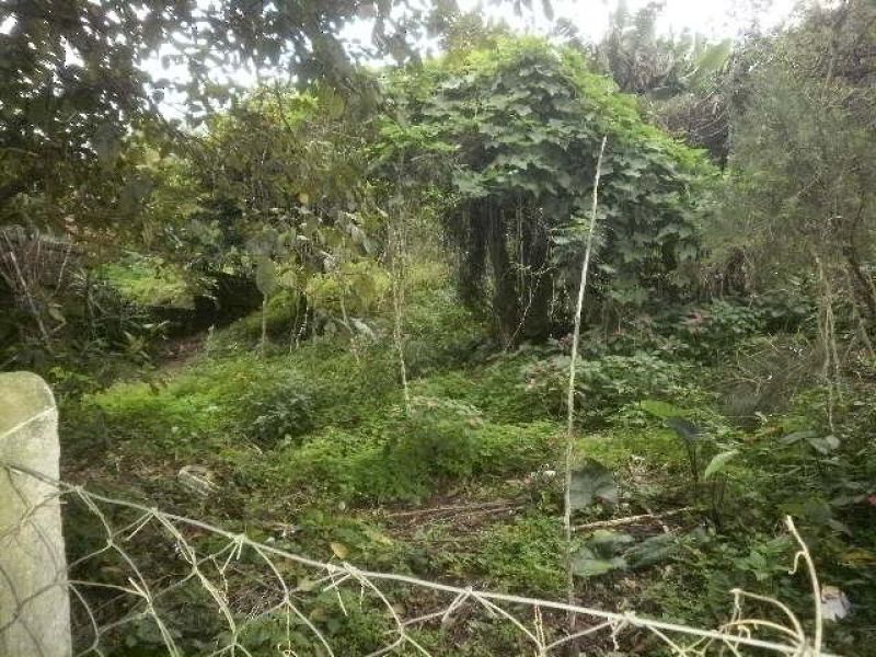 Terreno à venda no bairro Nossa Senhora de Fatima, Taquara