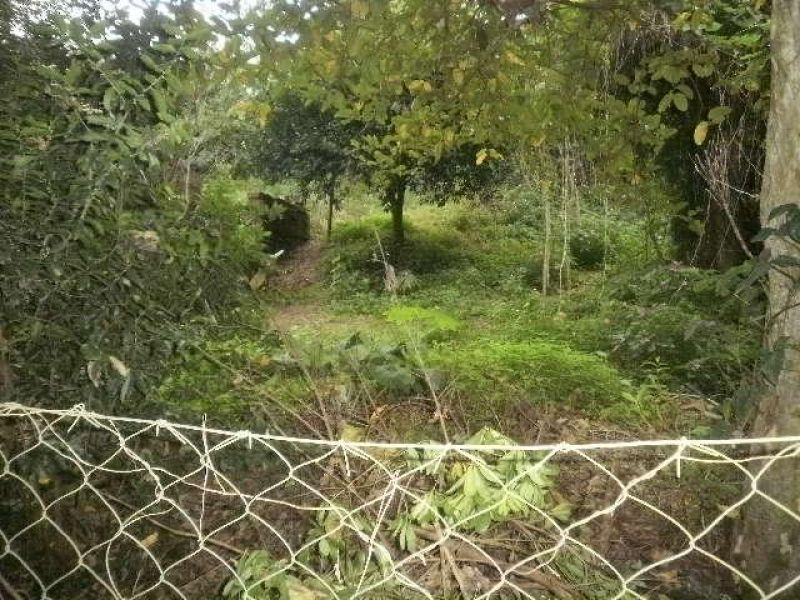 Terreno à venda no bairro Nossa Senhora de Fatima, Taquara