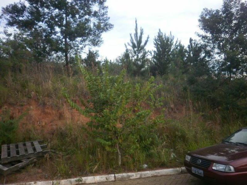 Terreno à venda no bairro Nossa Senhora de Fatima, Taquara