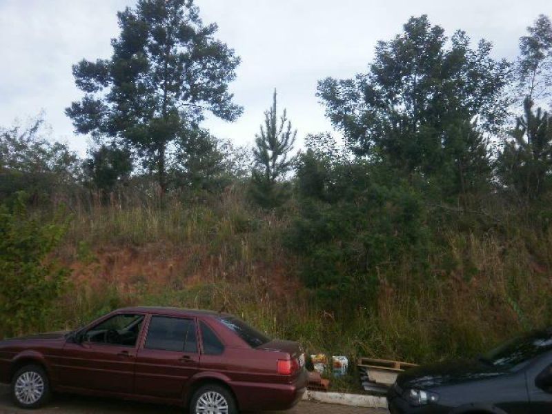 Terreno à venda no bairro Nossa Senhora de Fatima, Taquara