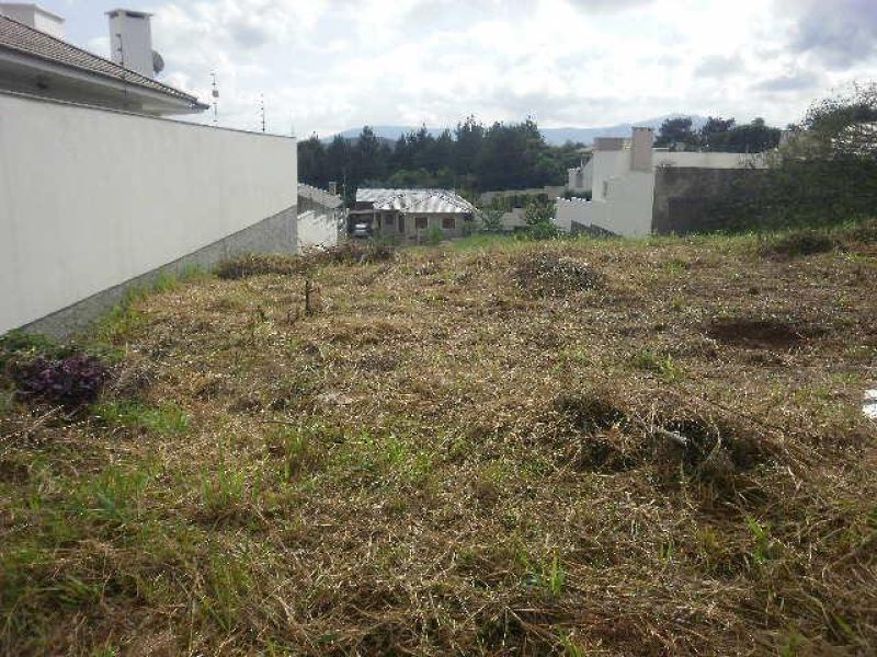 Terreno à venda no bairro Nossa Senhora de Fatima, Taquara