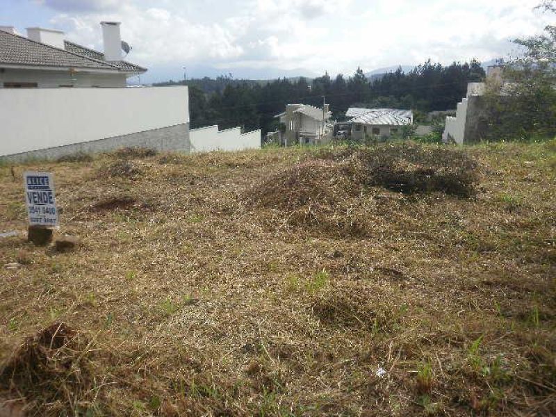 Terreno à venda no bairro Nossa Senhora de Fatima, Taquara