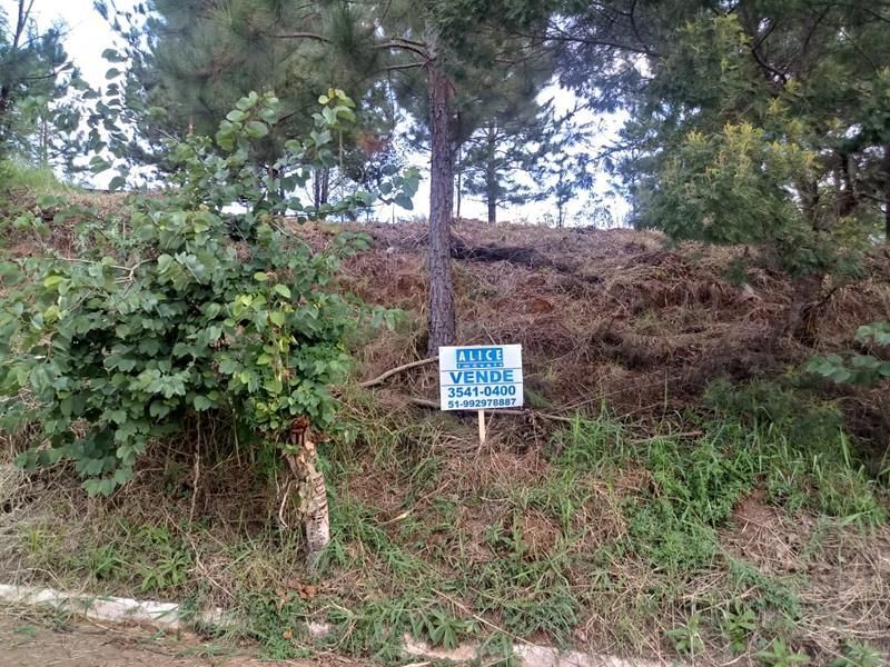 Terreno à venda no bairro Nossa Senhora de Fatima, Taquara