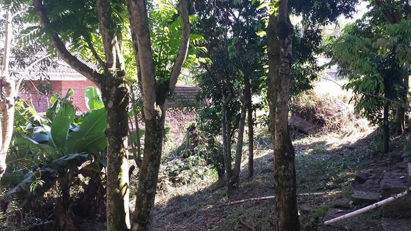 Casa com 3 quartos e 1 banheiro à venda no bairro Centro, Taquara