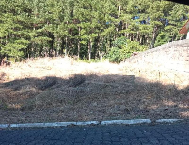 Casa com 3 quartos, 3 banheiros e 196m² à venda no bairro Jardim do Prado, Taquara