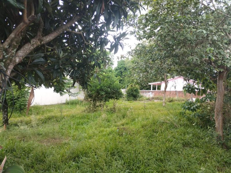 Terreno à venda no bairro Jardim do Prado, Taquara