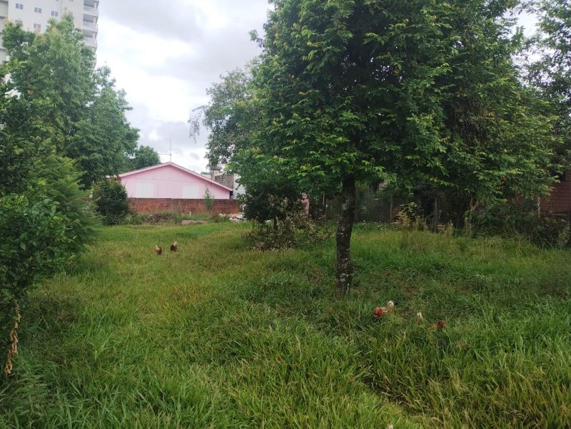 Terreno à venda no bairro Jardim do Prado, Taquara