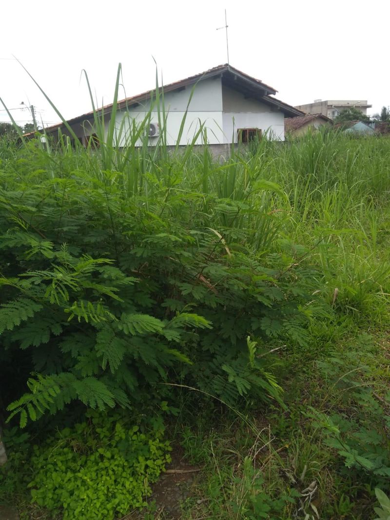 Terreno à venda no bairro Jardim do Prado, Taquara