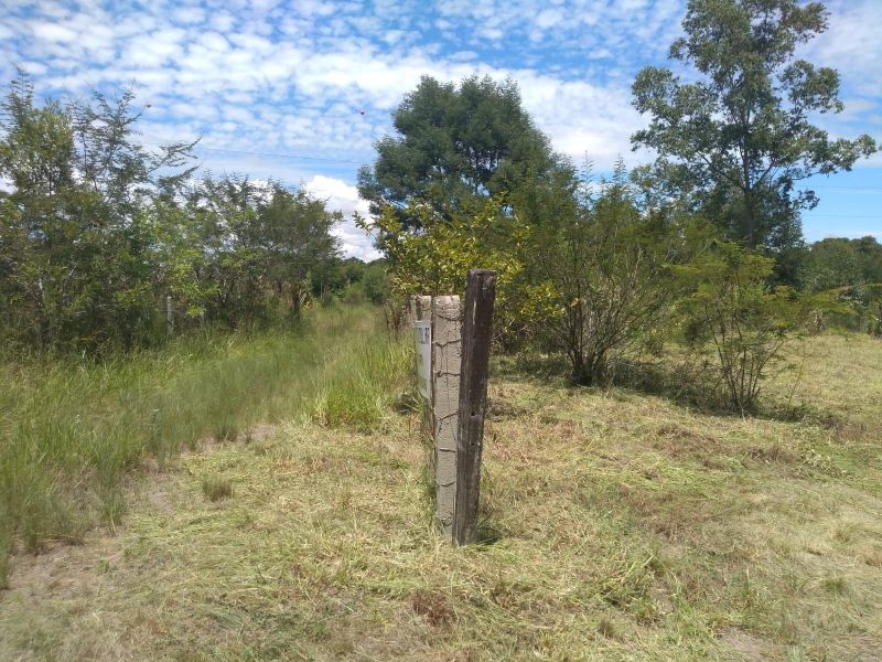 Terreno à venda no bairro Ronda, Taquara