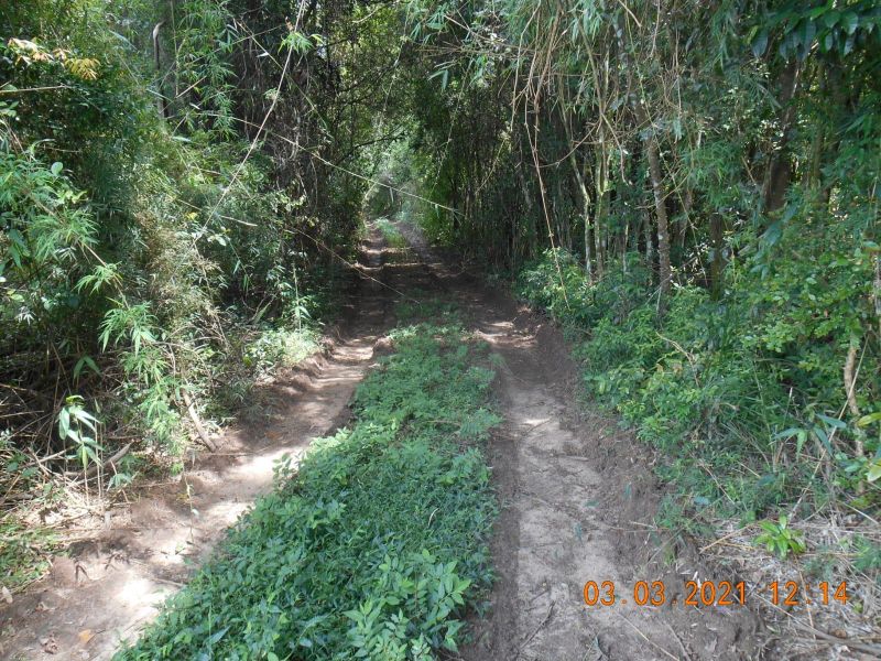 Terreno à venda no bairro Ronda, Taquara