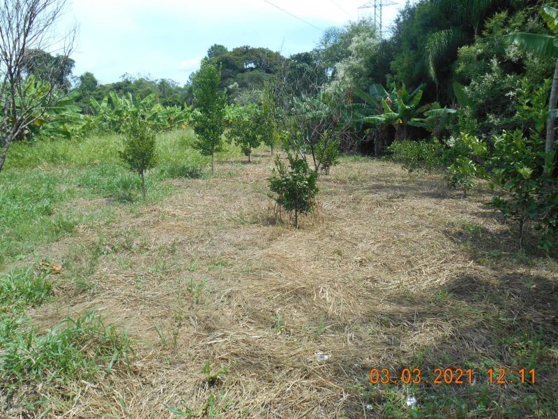 Terreno à venda no bairro Ronda, Taquara