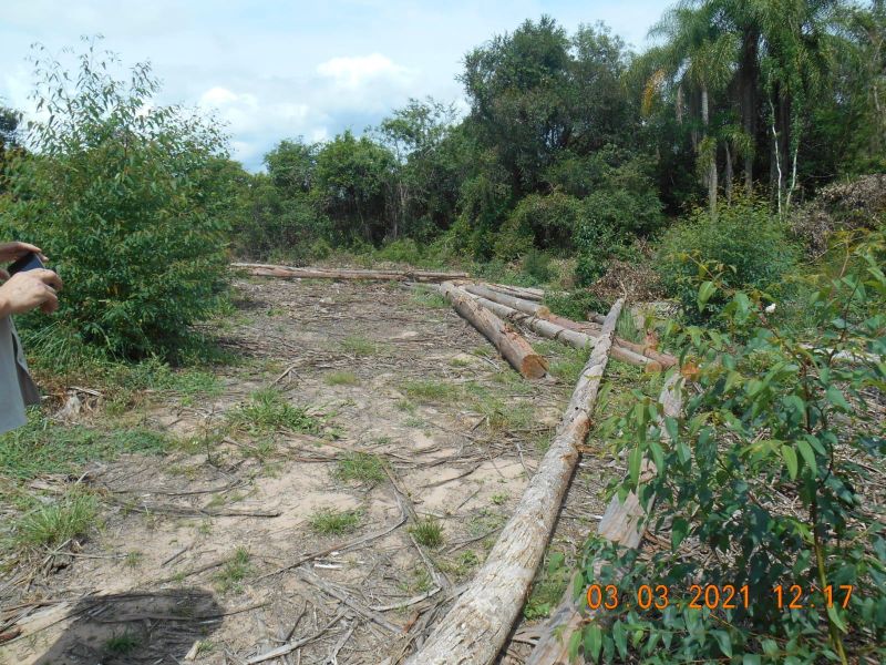 Terreno à venda no bairro Ronda, Taquara