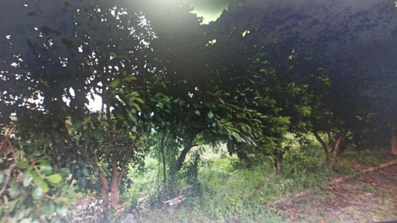 Terreno à venda no bairro Santa Teresinha, Taquara