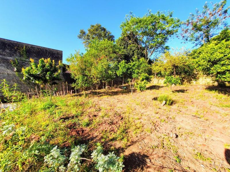 Casa com 3 quartos, 2 banheiros e 172m² à venda no bairro Santa Teresinha, Taquara