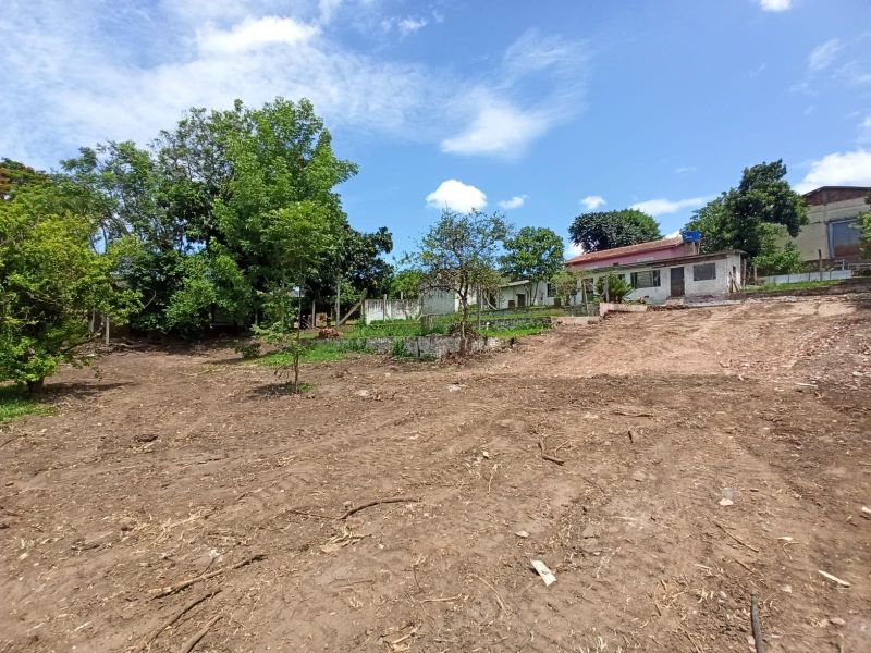 Terreno à venda no bairro Santa Teresinha, Taquara
