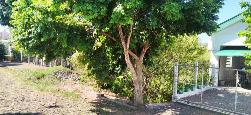 Terreno à venda no bairro Santa Teresinha, Taquara