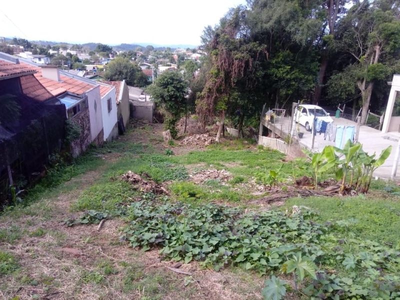 Terreno à venda no bairro Santa Teresinha, Taquara