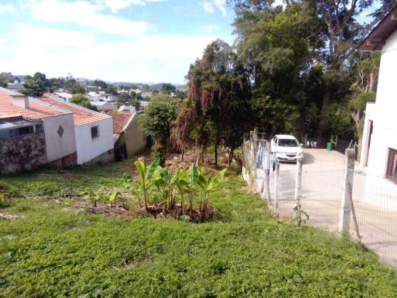 Terreno à venda no bairro Santa Teresinha, Taquara