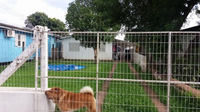 Casa com 2 quartos, 1 banheiro e 80m² à venda no bairro Santa Teresinha, Taquara