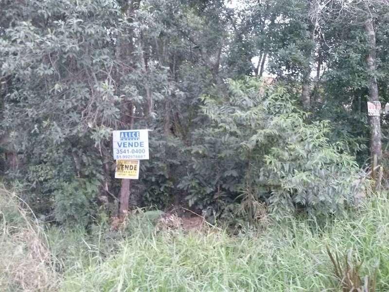 Terreno à venda no bairro Tucanos, Taquara