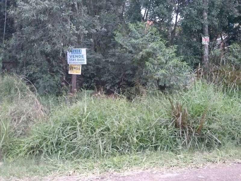 Terreno à venda no bairro Tucanos, Taquara