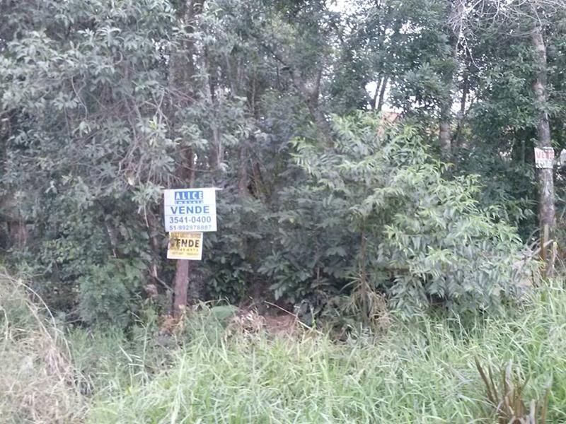 Terreno à venda no bairro Tucanos, Taquara