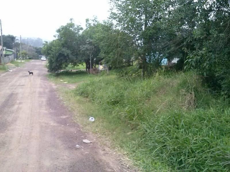Terreno à venda no bairro Tucanos, Taquara