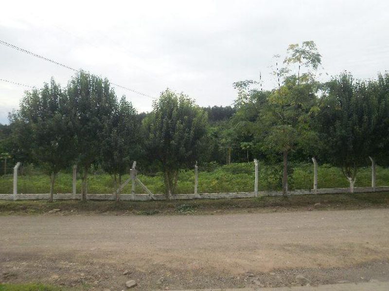 Terreno à venda no bairro Eldorado, Taquara