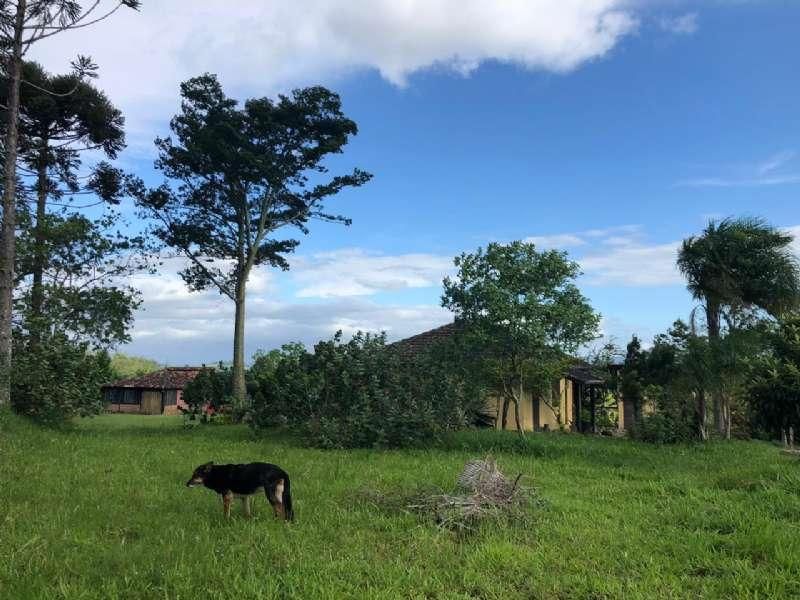 Terreno com 3 quartos e 1 banheiro à venda no bairro Ideal, Taquara