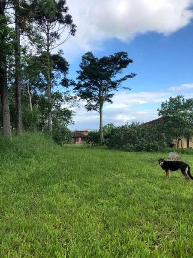 Terreno com 3 quartos e 1 banheiro à venda no bairro Ideal, Taquara
