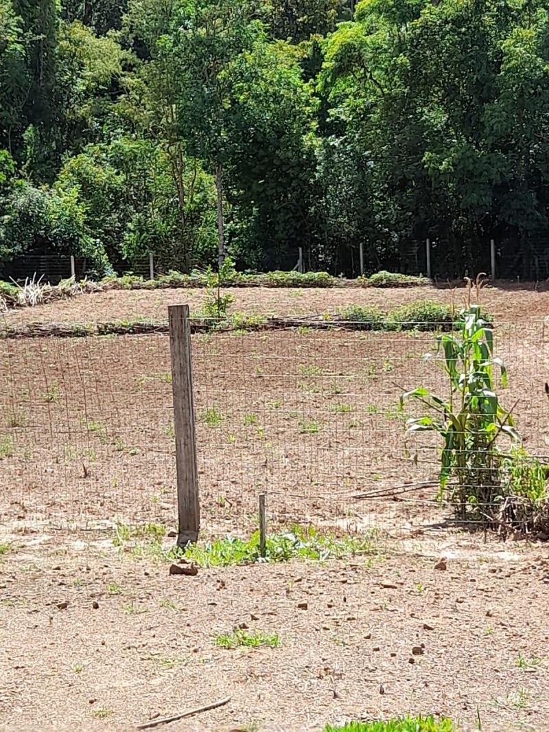 Sítio à venda no bairro distrito de Açouta Cavalo, Taquara