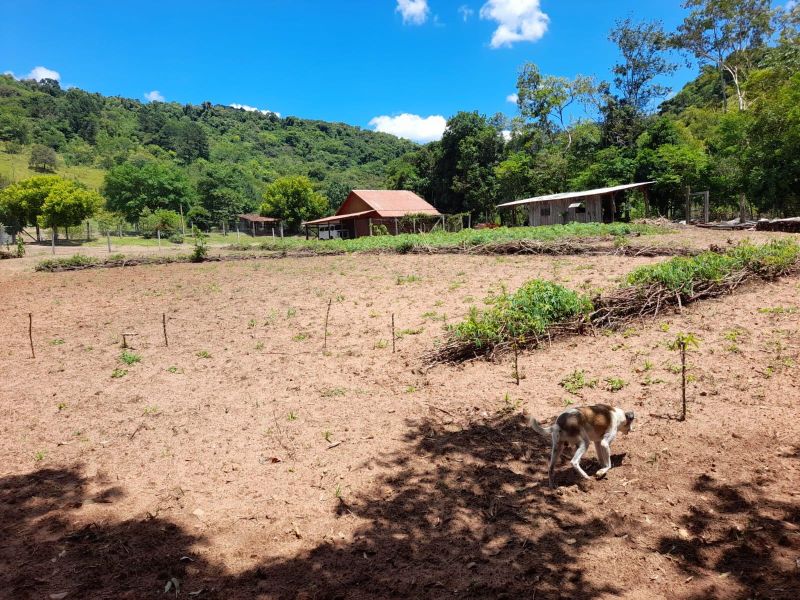 Sítio à venda no bairro distrito de Açouta Cavalo, Taquara