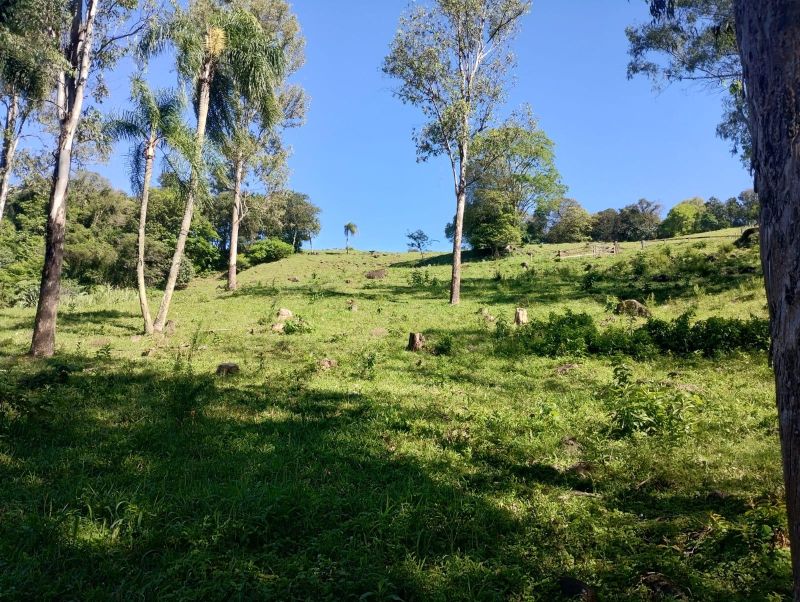 Terreno à venda no bairro Km 4, Taquara
