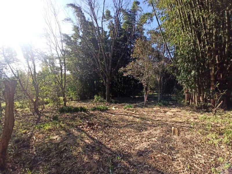 Sítio com 3 quartos, 2 banheiros e 98m² à venda no bairro Km 4, Taquara