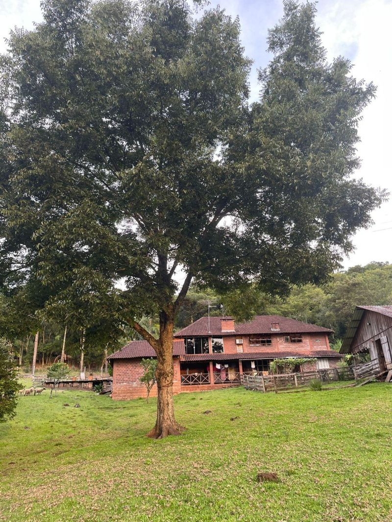 Sítio com 3 quartos, 3 banheiros e 400m² à venda no bairro Km 4, Taquara