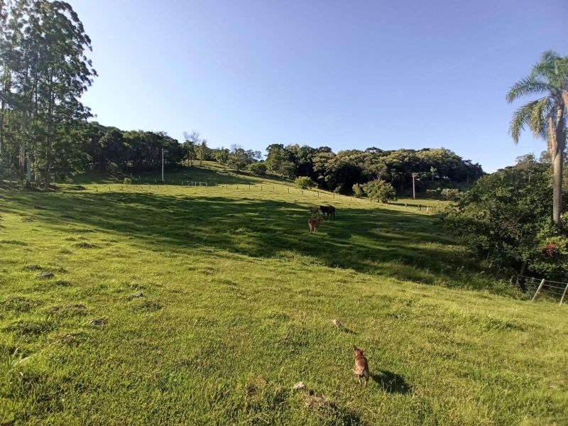 Sítio com 3 quartos, 2 banheiros e 110m² à venda no bairro Km 4, Taquara